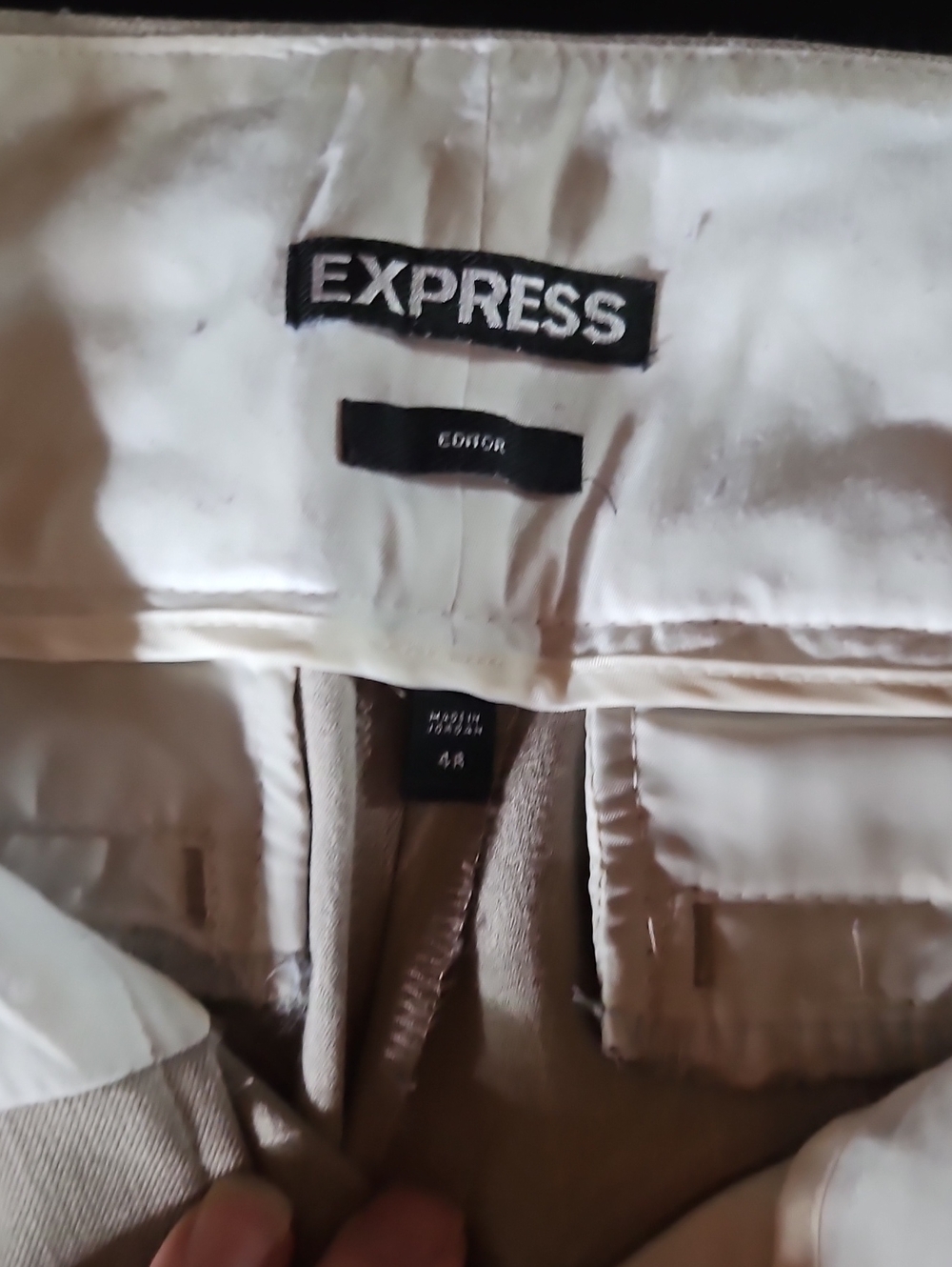 Express Editor Dress Pants